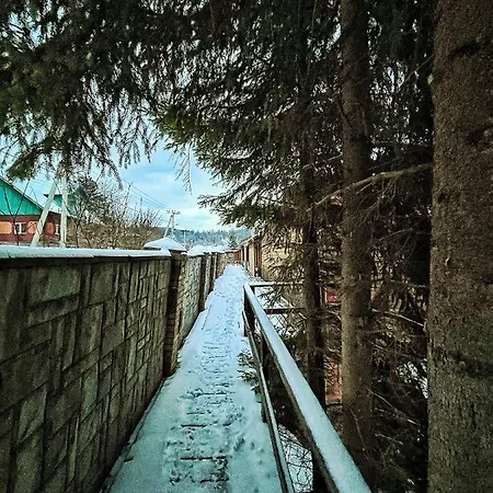 Aspen