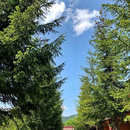 Aspen *